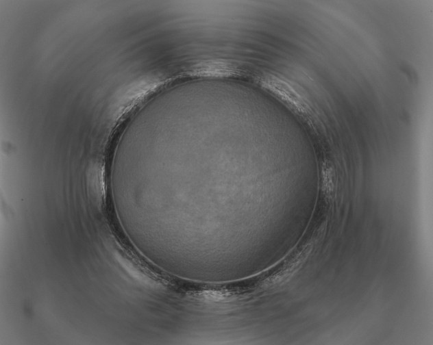 X0000090930302200708061608