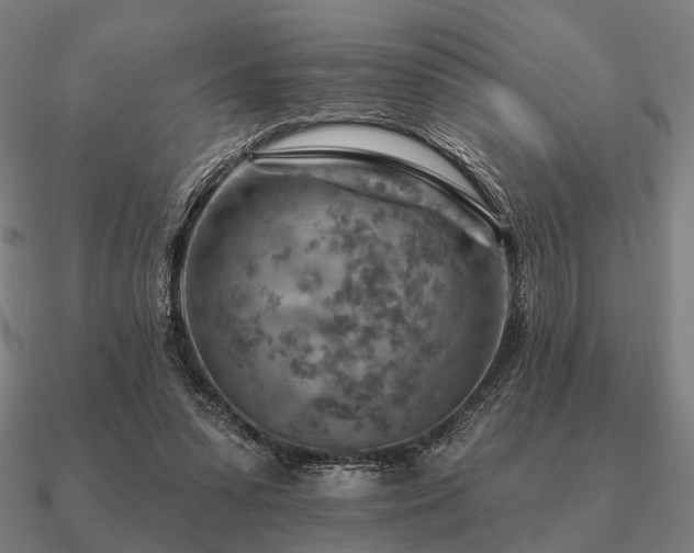 X0000090930303200708061608