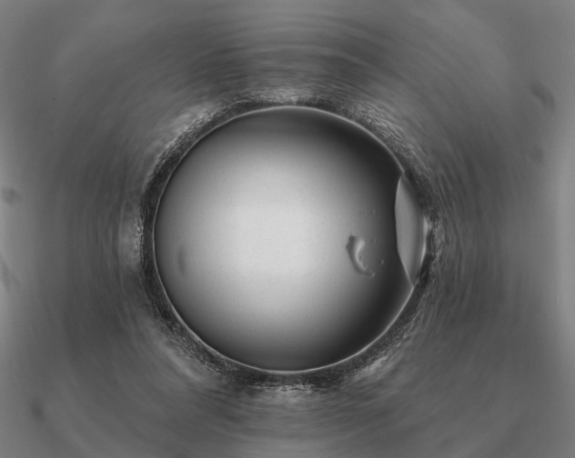 X0000090930304200708061608