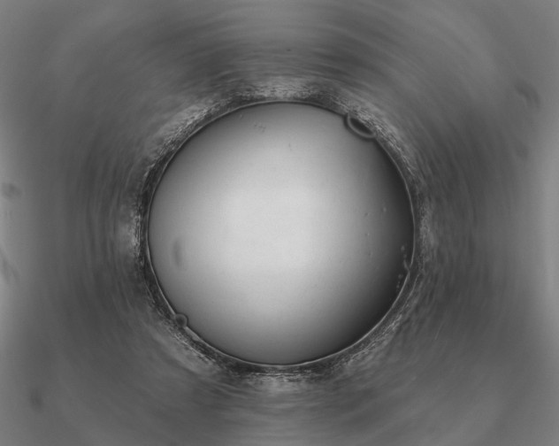 X0000090930305200708061608