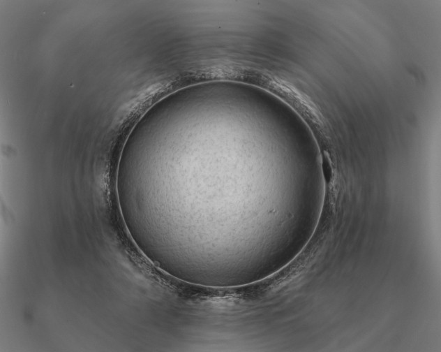 X0000090930306200708061608