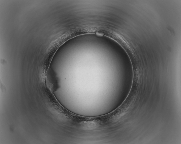 X0000090930307200708061608