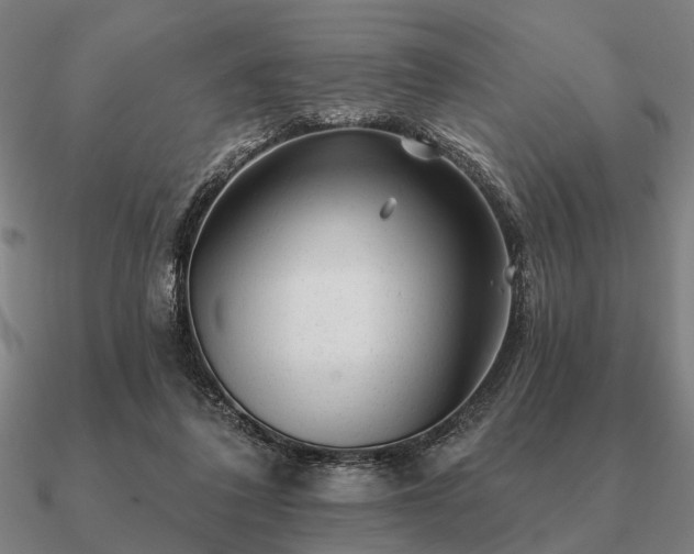 X0000090930308200708061608