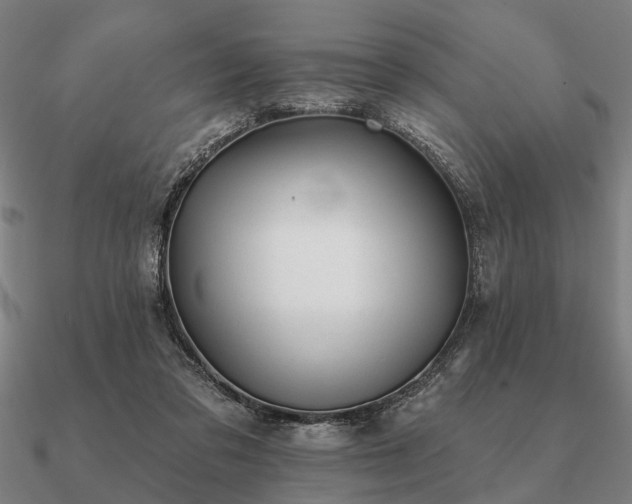 X0000090930309200708061608