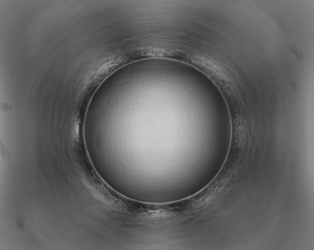 X0000090930310200708061608