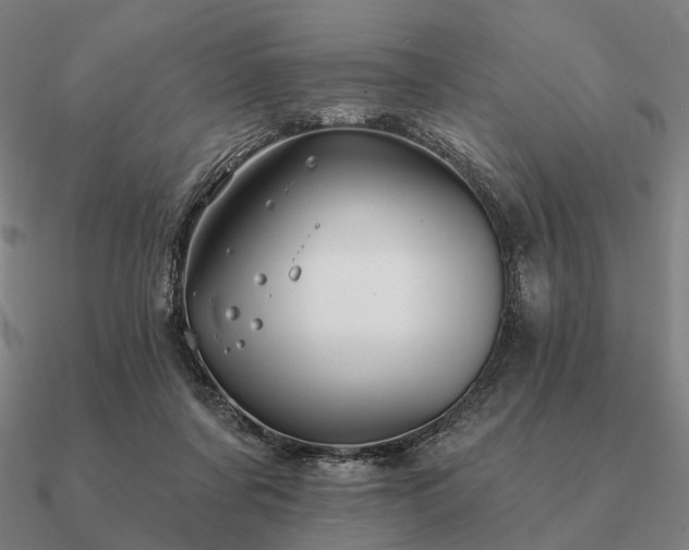 X0000090930311200708061608