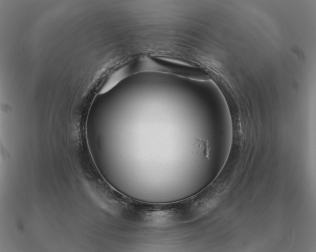 X0000090930312200708061608