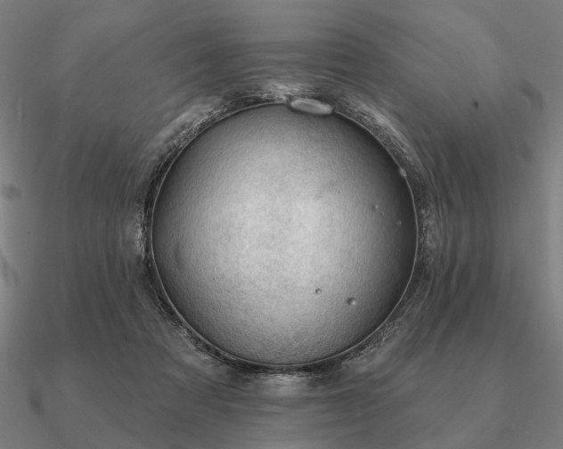 X0000090930313200708061608