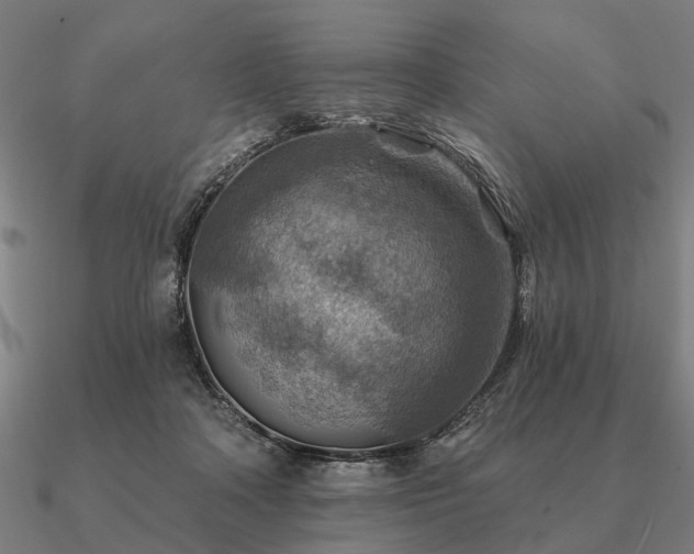 X0000090930314200708061608