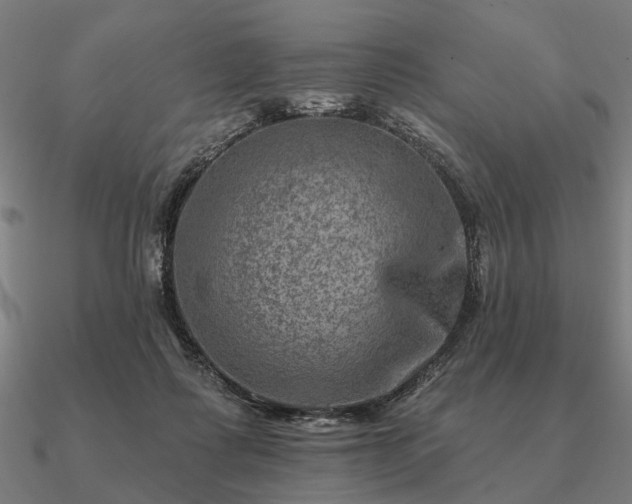 X0000090930315200708061608