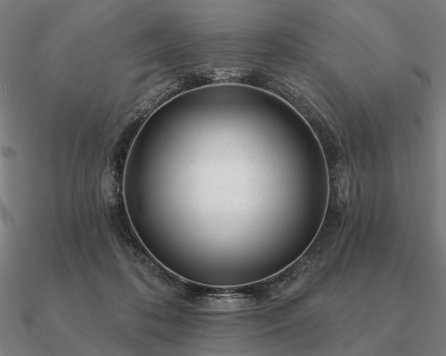 X0000090930316200708061608