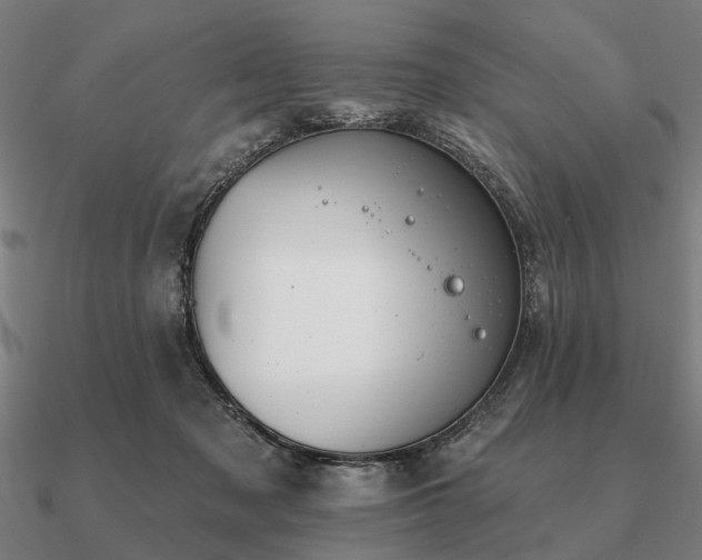 X0000090930317200708061608