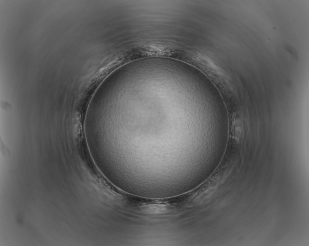 X0000090930318200708061608