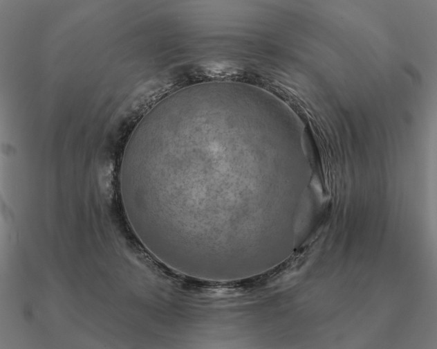 X0000090930319200708061608