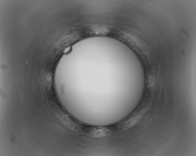 X0000090930321200708061608