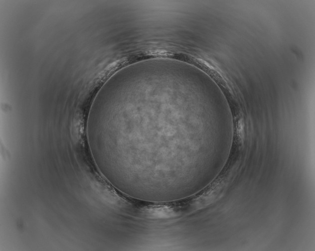 X0000090930322200708061608