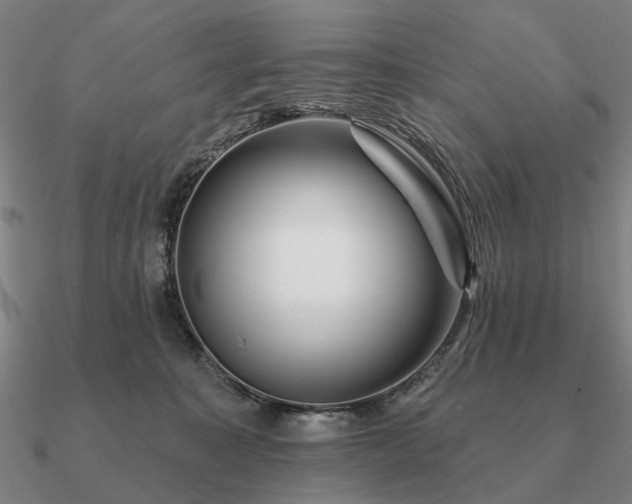 X0000090930323200708061608