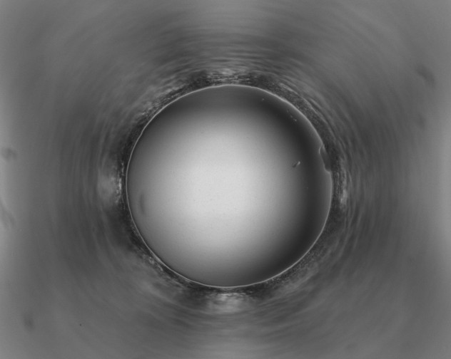 X0000090930324200708061608