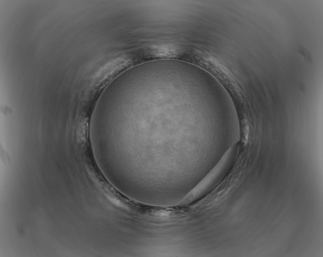 X0000090930325200708061608