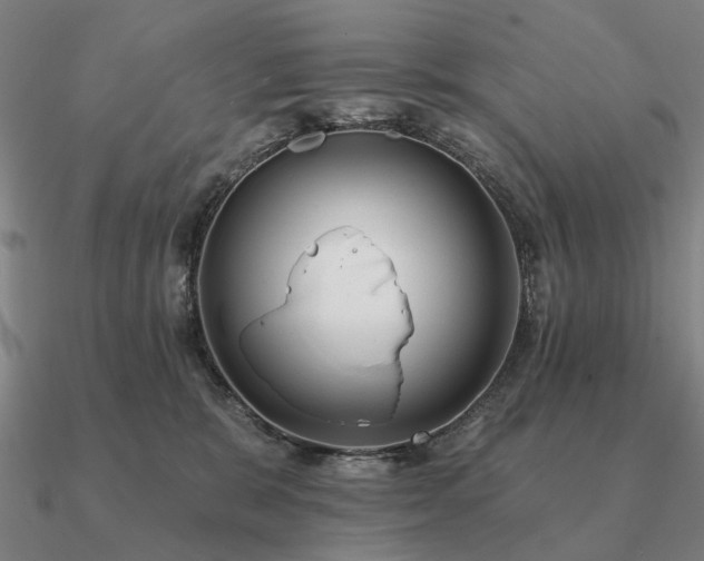 X0000090930327200708061608