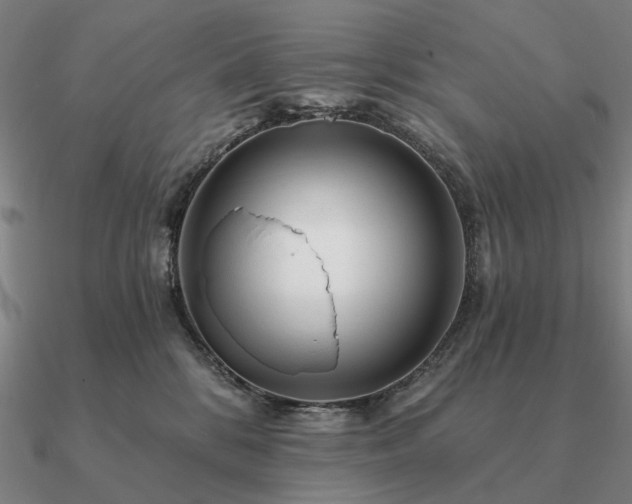 X0000090930328200708061608