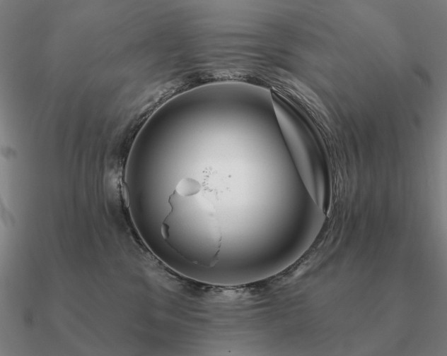 X0000090930329200708061608