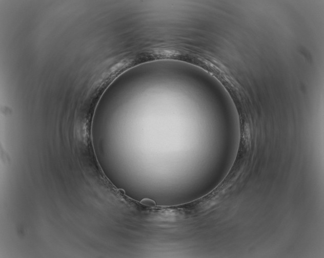 X0000090930330200708061608