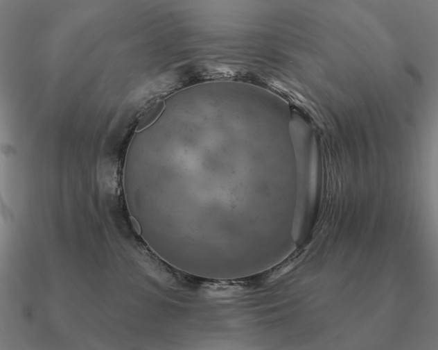 X0000090930331200708061608