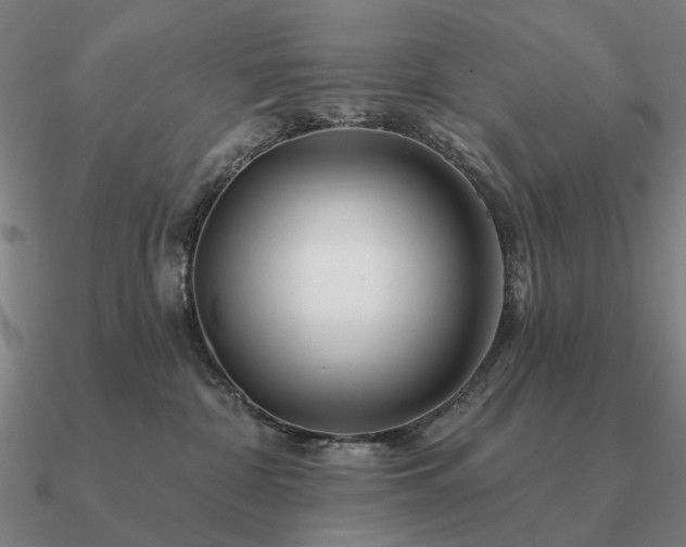 X0000090930332200708061608