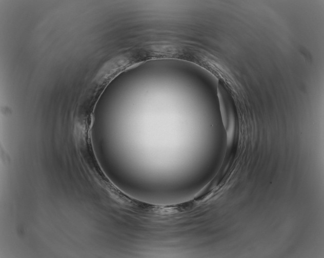 X0000090930333200708061608