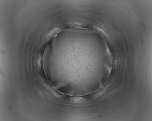 X0000090930334200708061608