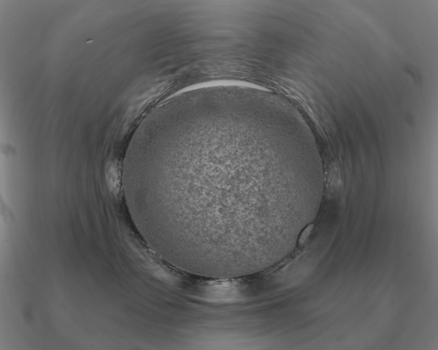 X0000090930335200708061608