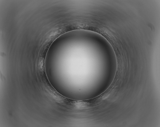 X0000090930336200708061608