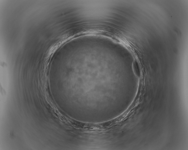 X0000090930337200708061607