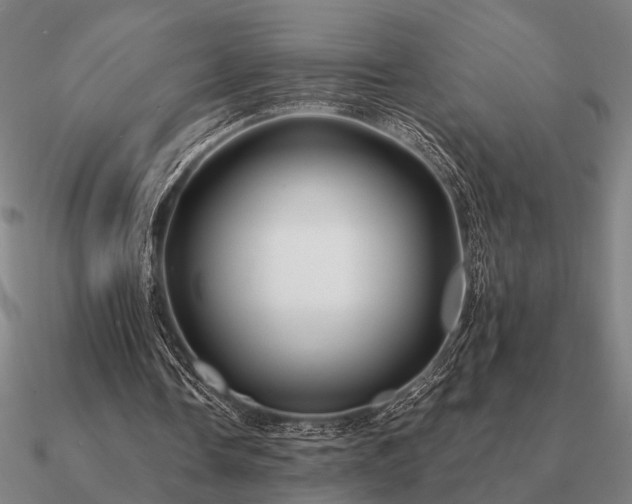 X0000090930338200708061607