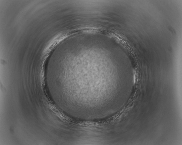 X0000090930339200708061607