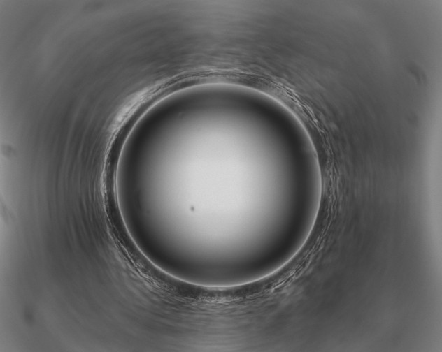 X0000090930340200708061607