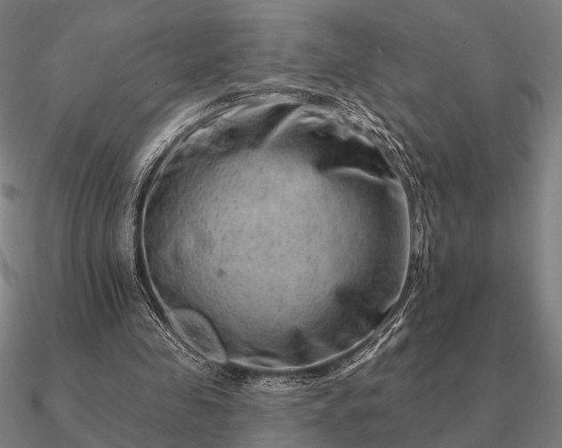 X0000090930341200708061607