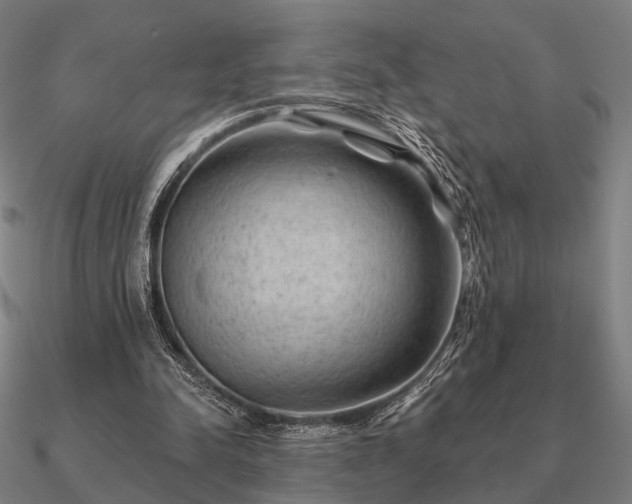 X0000090930342200708061607