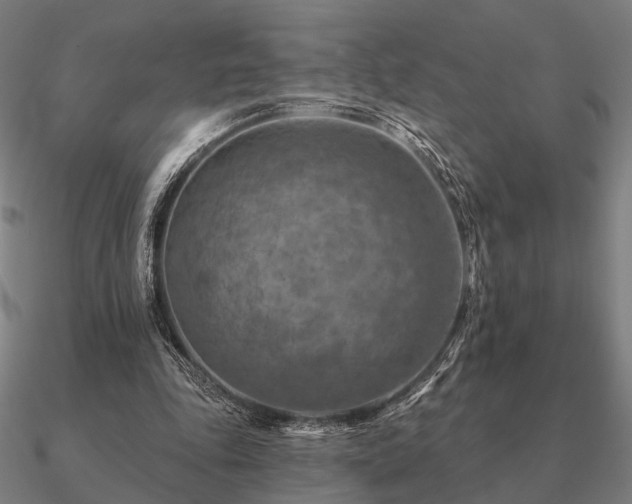 X0000090930343200708061607