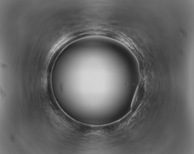 X0000090930344200708061607