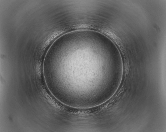 X0000090930345200708061607