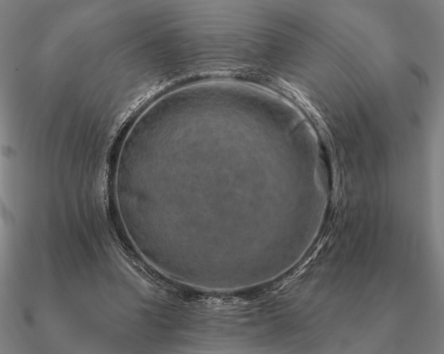 X0000090930346200708061607