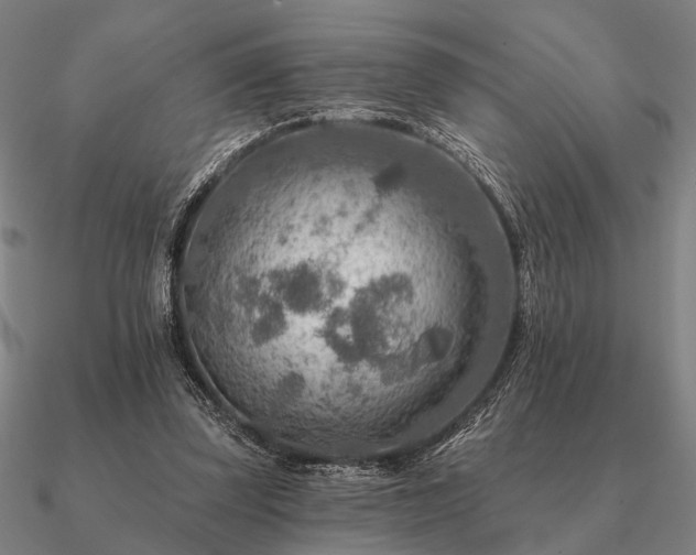 X0000090930347200708061607