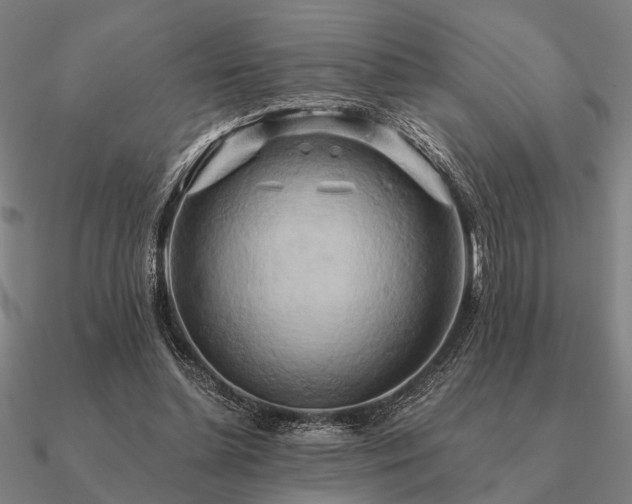 X0000090930348200708061607