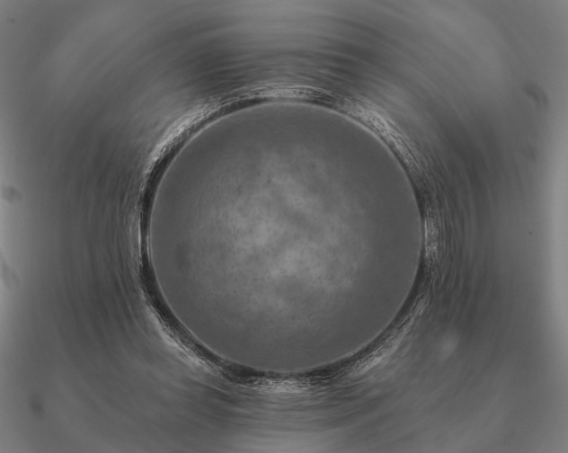 X0000090930349200708061607