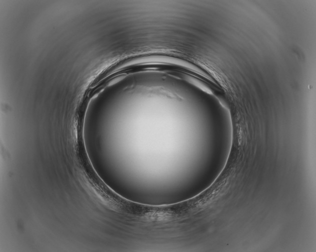 X0000090930350200708061607