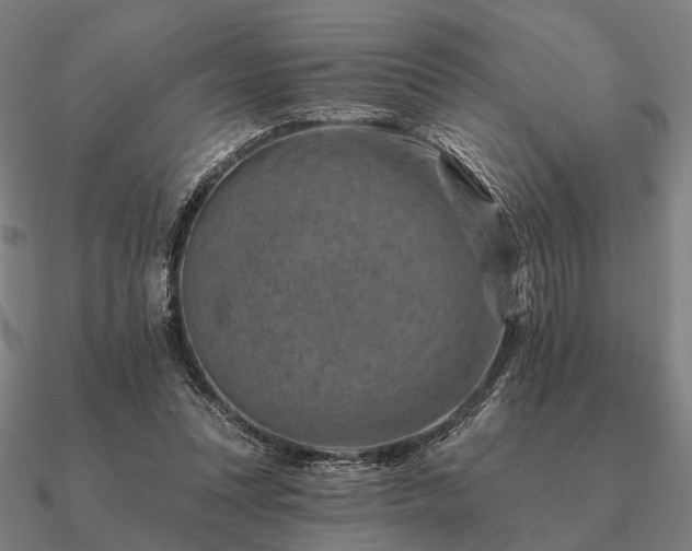 X0000090930351200708061607