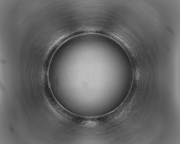 X0000090930352200708061607