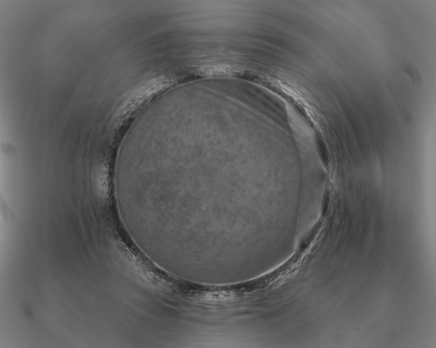 X0000090930353200708061607